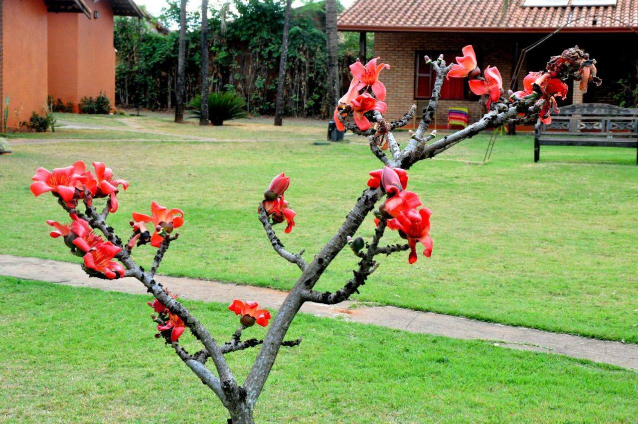 Beco Da Lua Pensão Olímpia